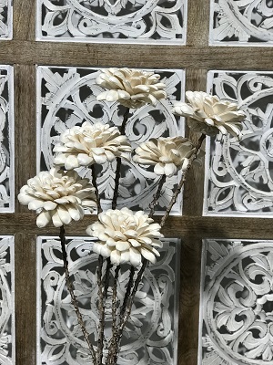6 Stem Football Mum Drop-in Bouquet 